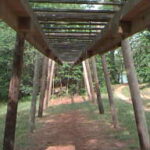 World's longest monkey bars