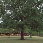 Dining hall across the parade grounds
